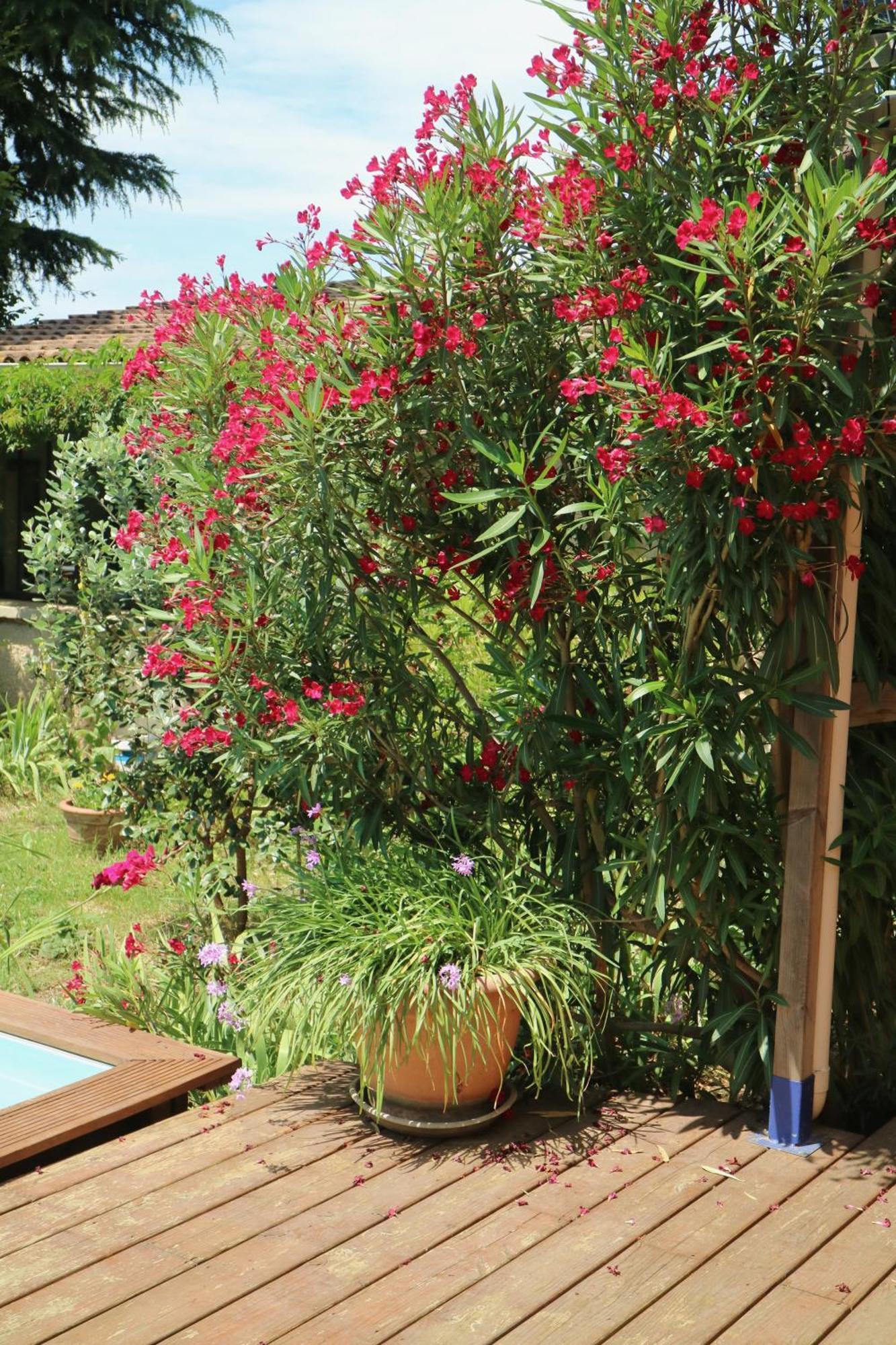 Un Temps Pour Le Reve * Valence (Drome)